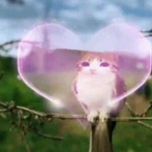 Meet your Posher, Giselle